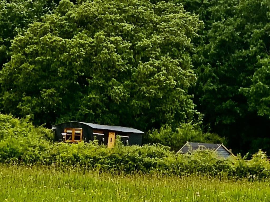 Shepherds Hut With Scandinavian Hot Tub And Hydromassager 스웨이 외부 사진